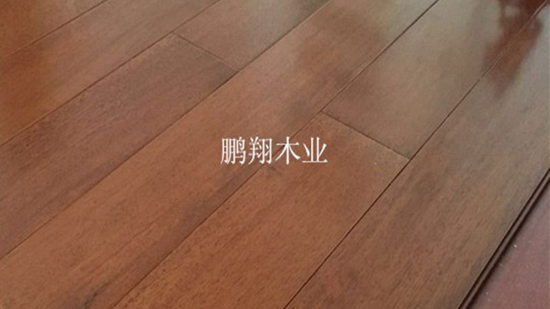 专业运动木地板与复合地板：性能与适用场景的差异解析